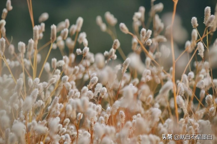 微信式的爱情：见面好说分手一段感情才能真正的结束