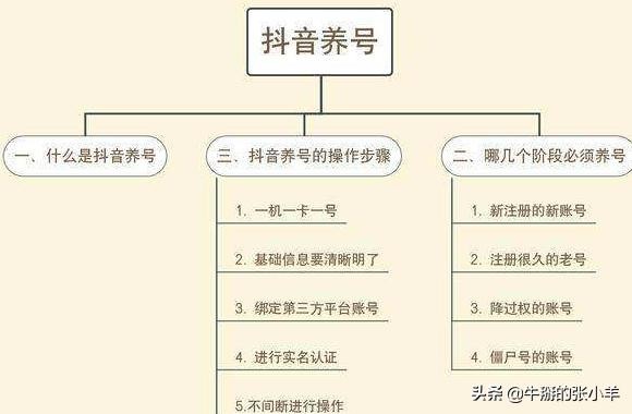 抖音养号有哪些禁忌